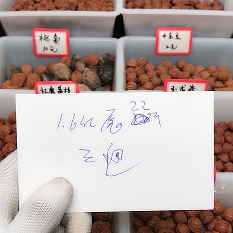 桃核吊坠阿***龙纹桃核的搭配