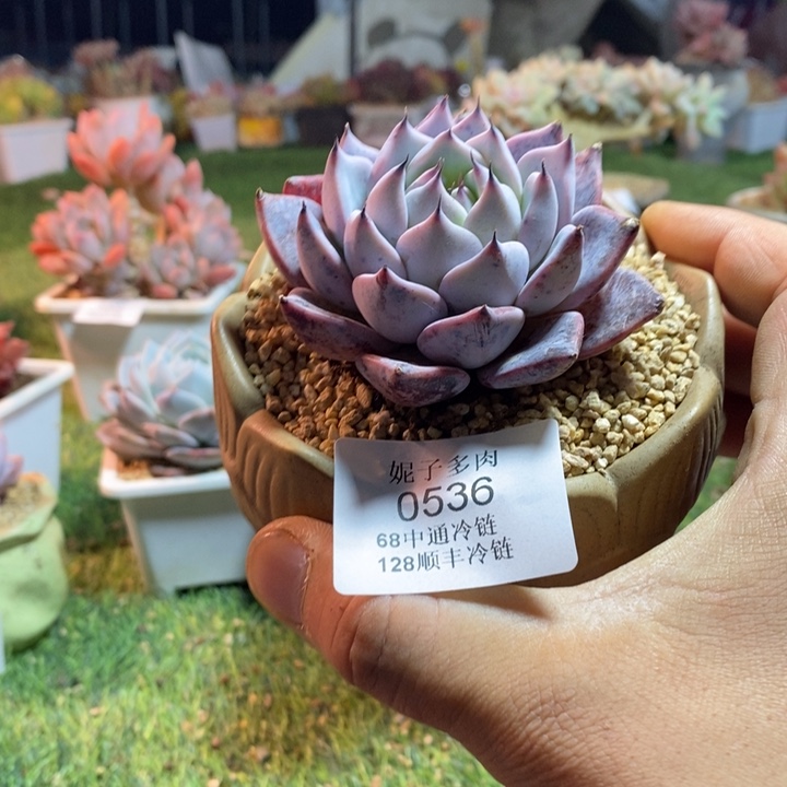 0536啊啊啊啊啊啊啊啊啊啊