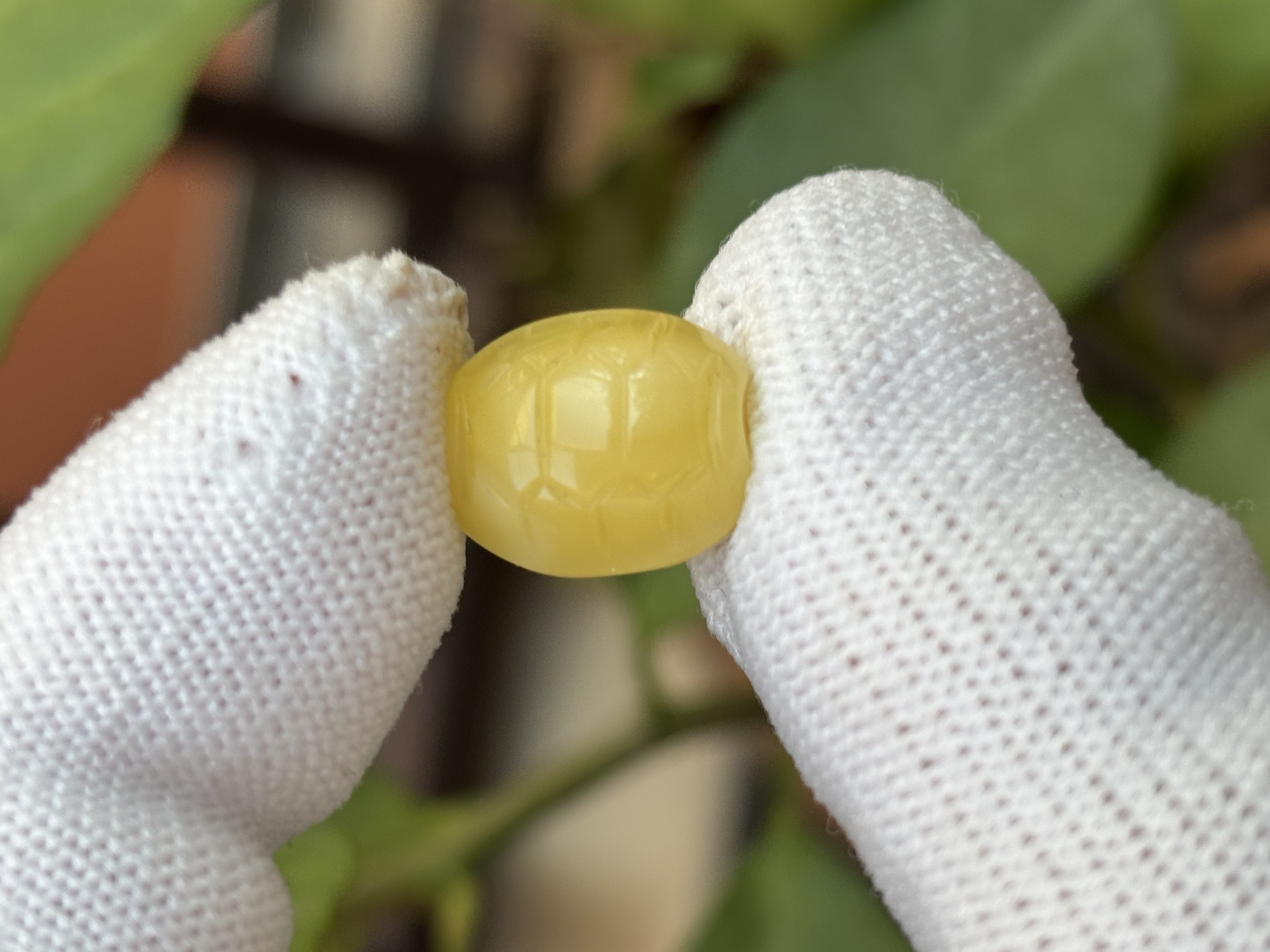 4204天然蜜蜡琥珀富甲配饰11.7x13.9x7.1mm