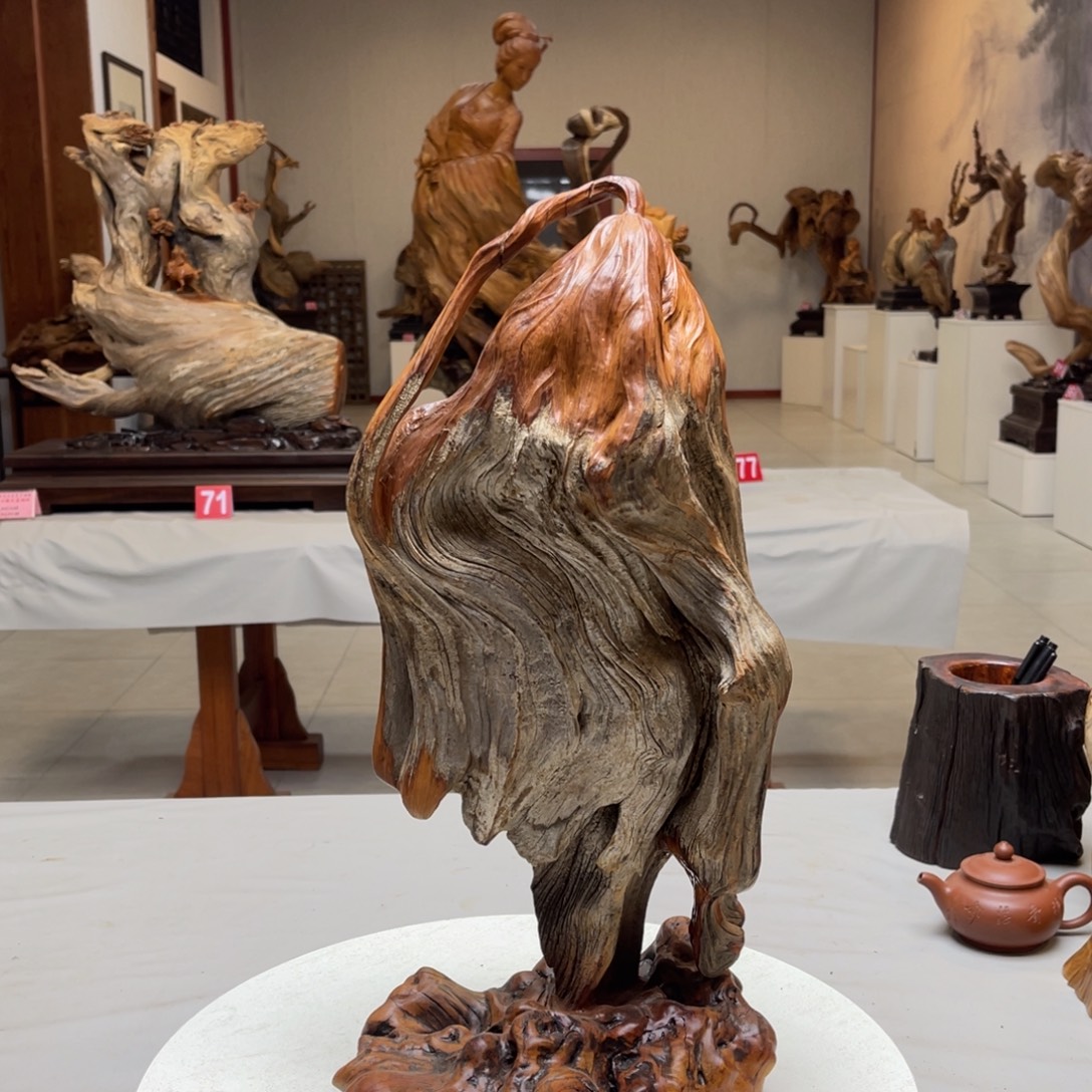 香榧木13456653577883