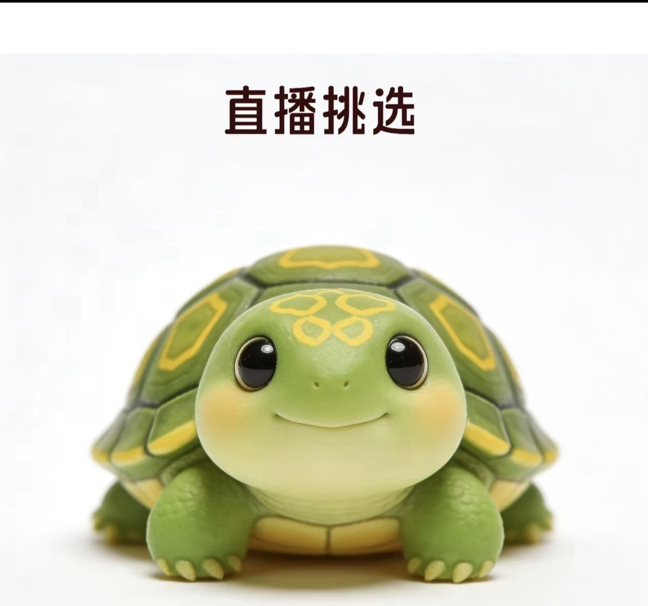 精品观赏宠物龟适合家养的活体乌龟 直播间挑选链接