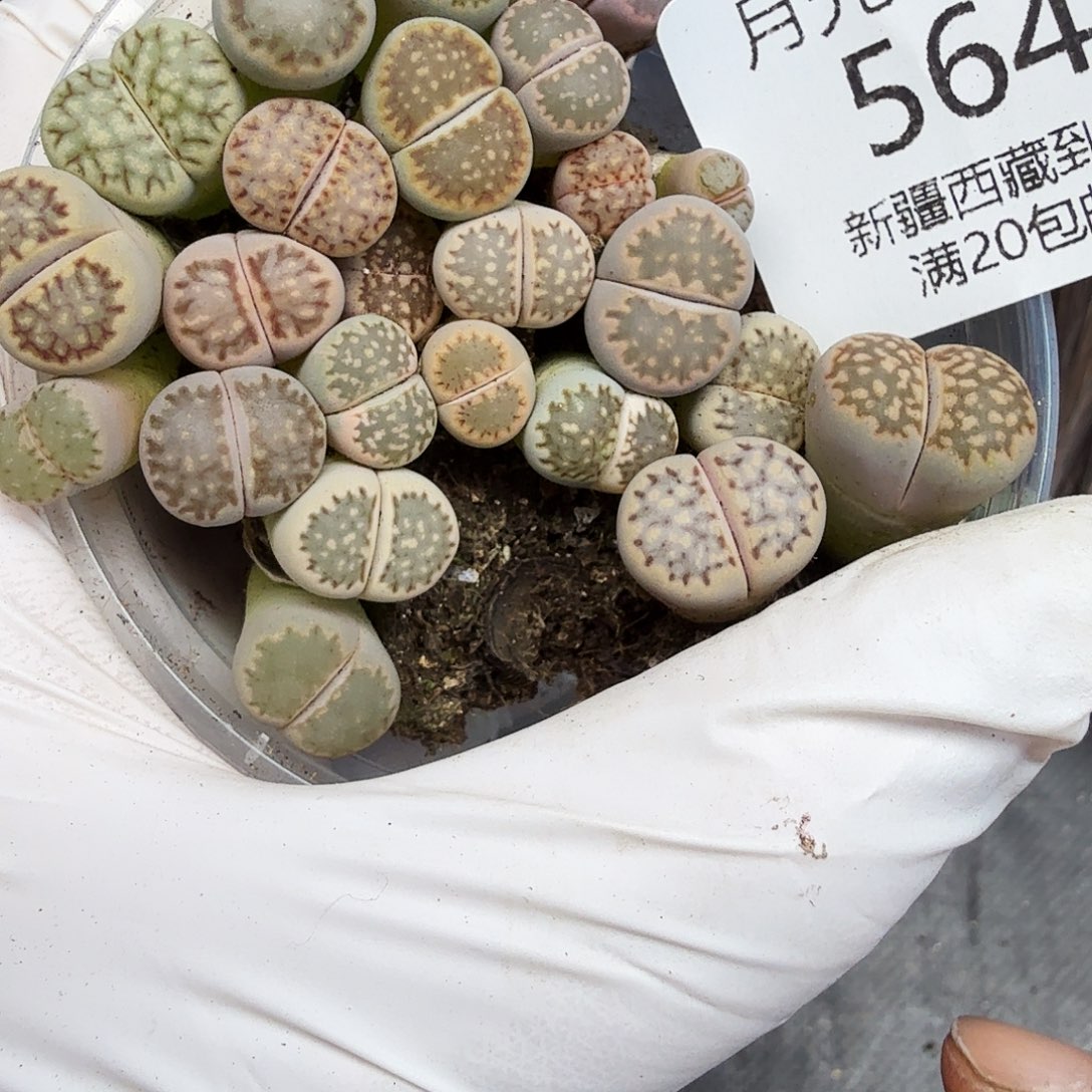 不会在有你电话吧亲564这个