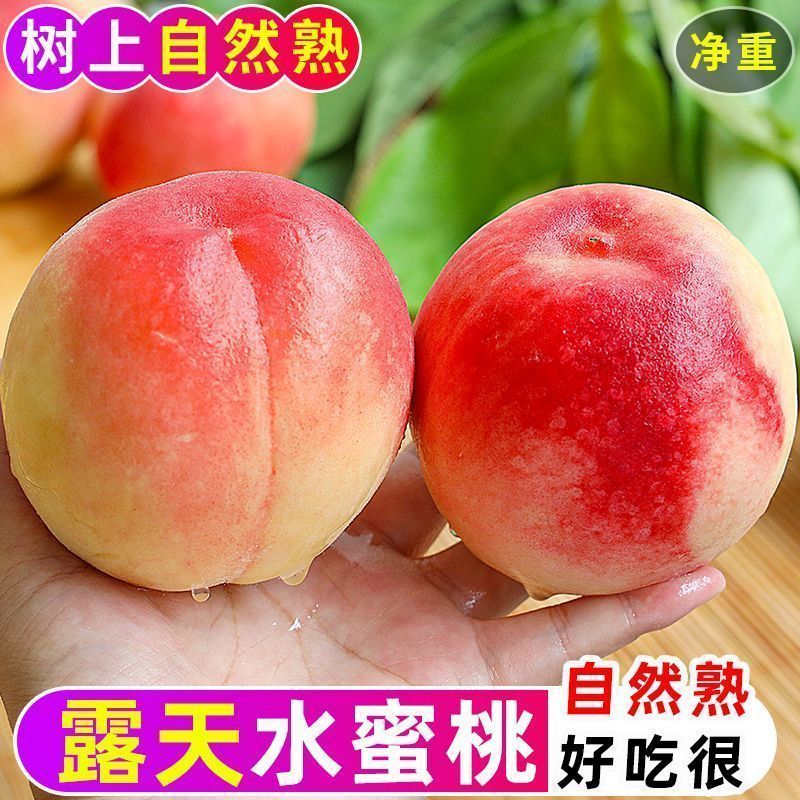 山西水蜜桃新鲜现摘鲜甜多汁水果新鲜脆水果A