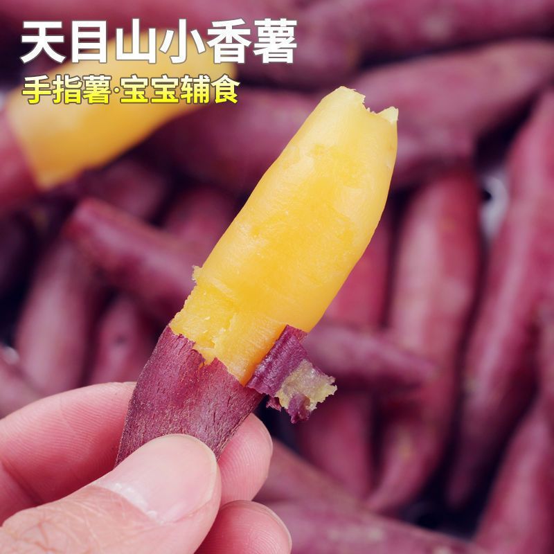 【小果】海南现挖新鲜沙地种植天目山拇指小香薯红薯软糯香甜5斤装