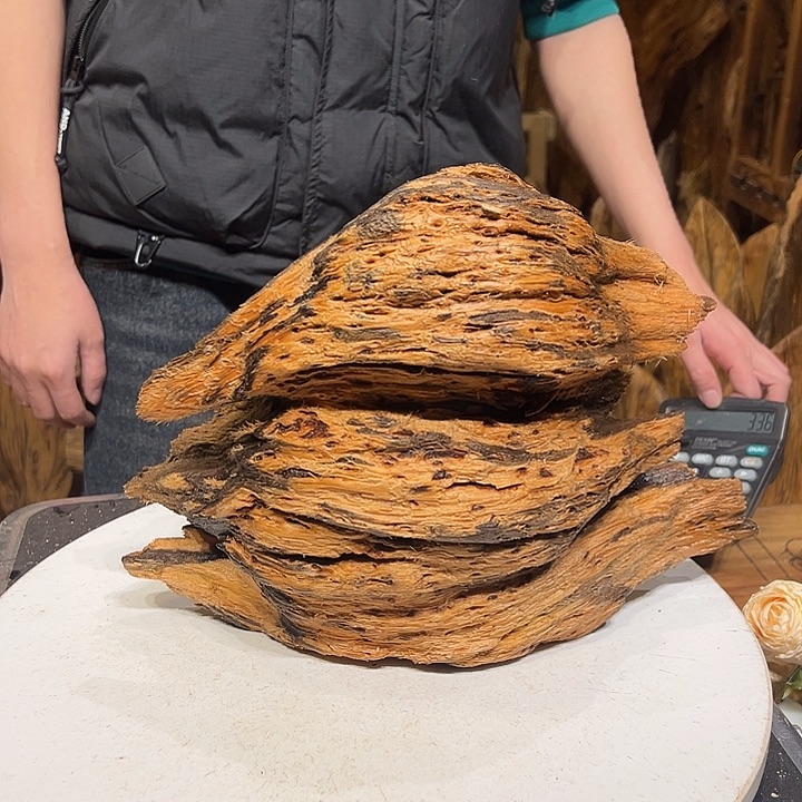 松木（琥珀木）君*！