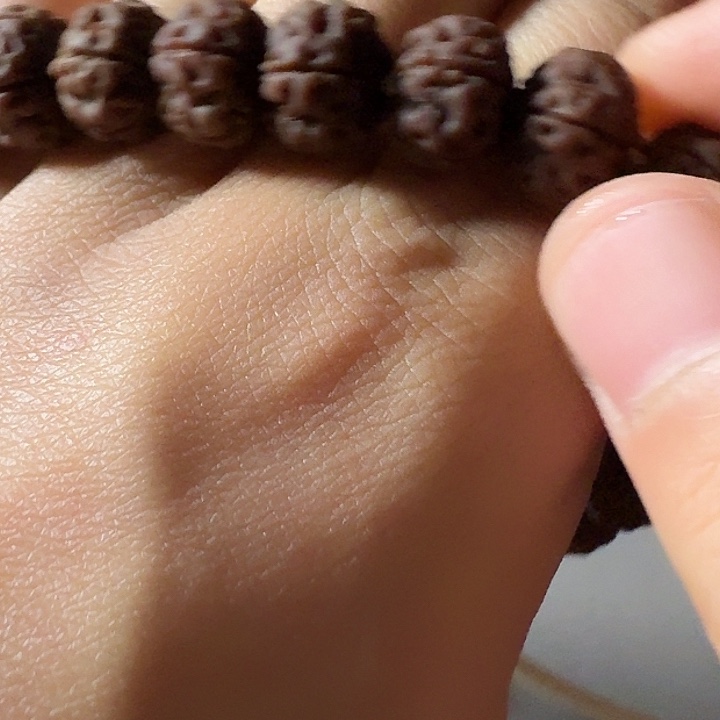 金刚菩提吊坠勿里达老树王手持