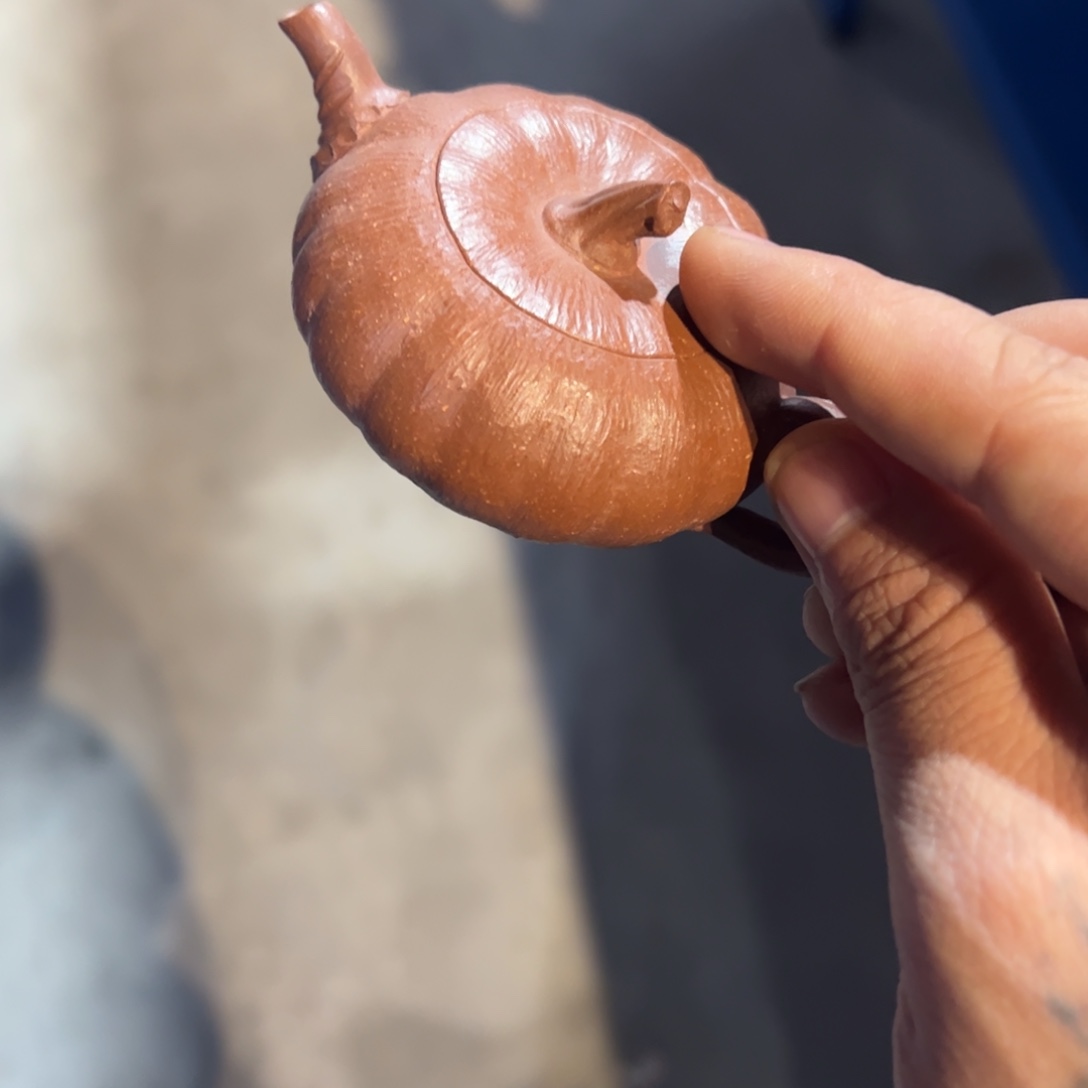 ……………………………………………………