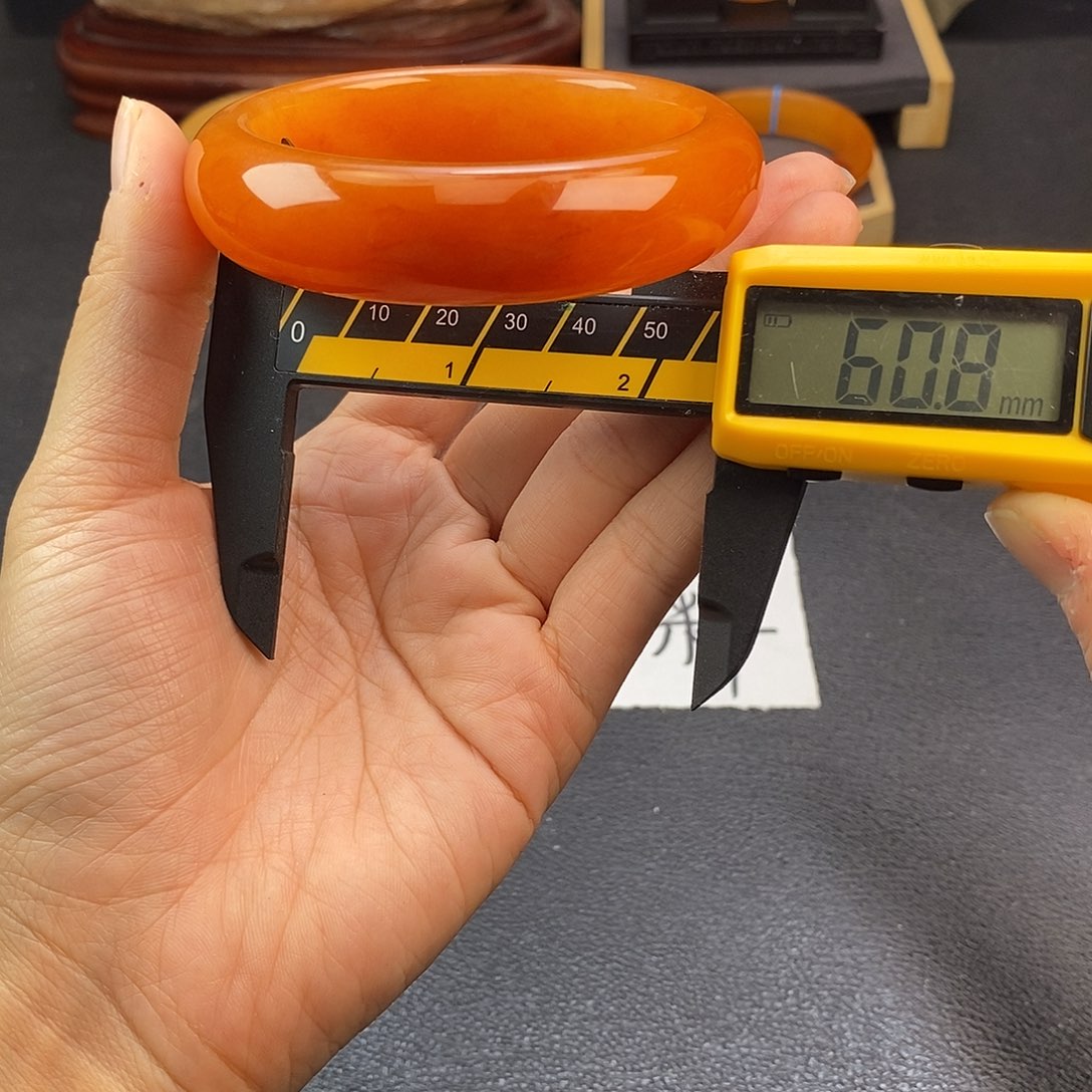 9号冰油红洒金绝绝子60.8