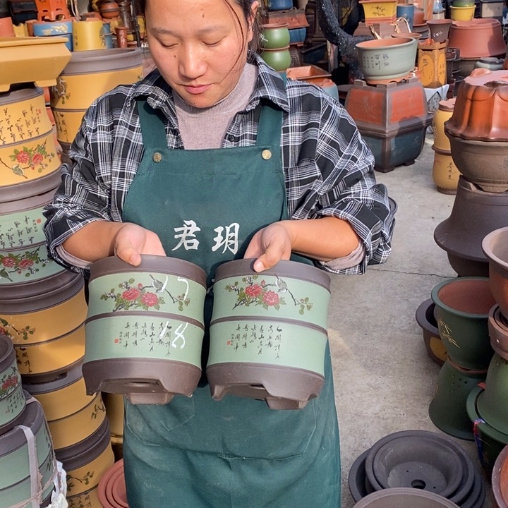 紫砂花盆盆栽花卉苗木种植