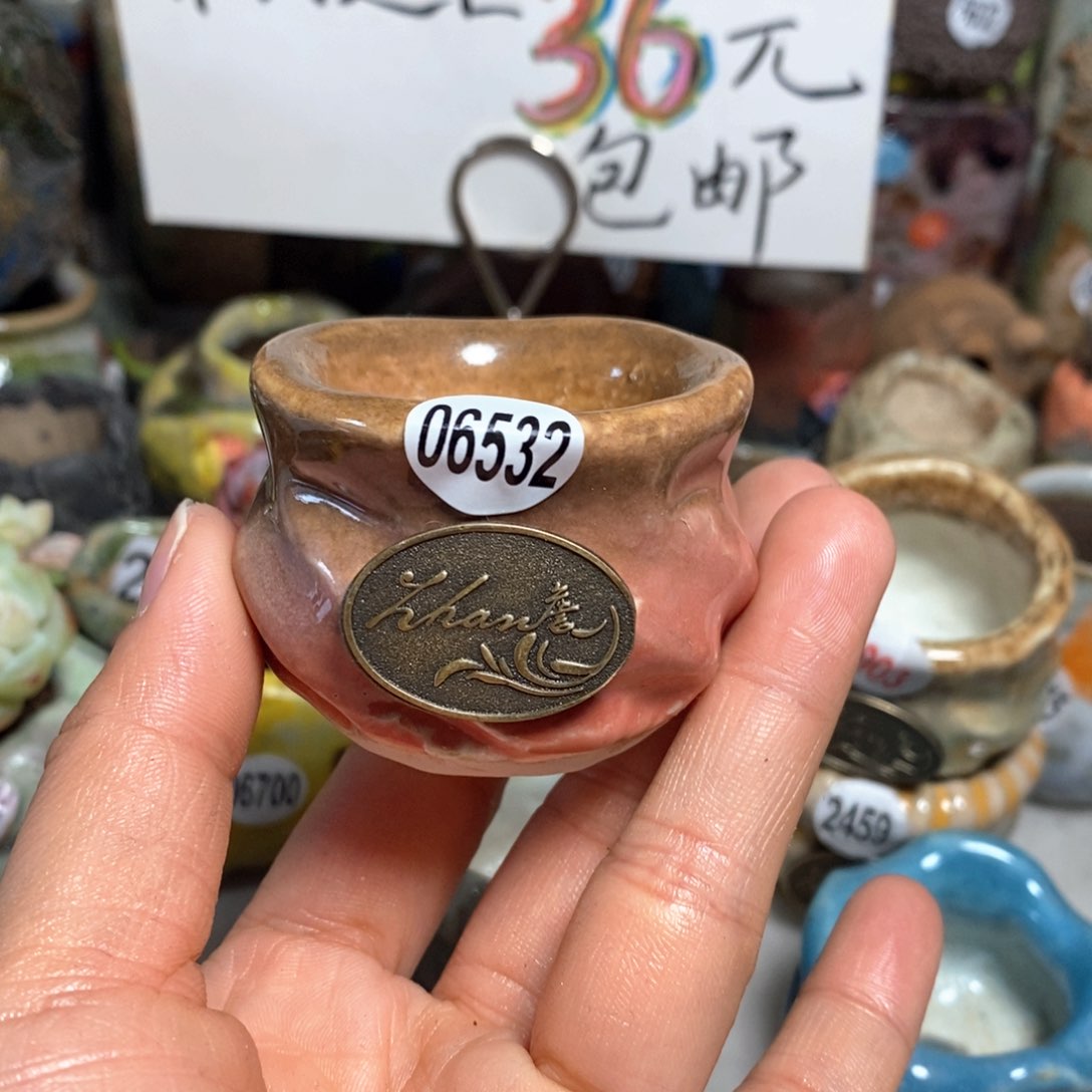 花盆拍5送一个小礼物