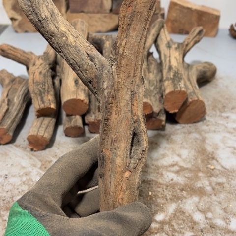 大果紫檀（缅甸花梨）曾***诺