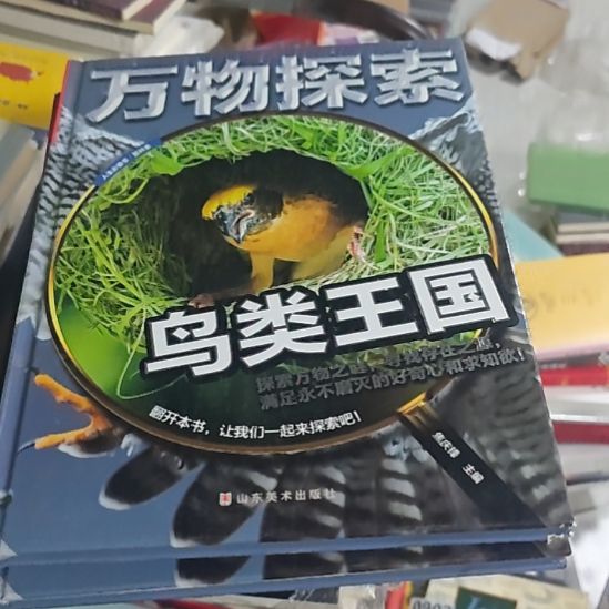鸟类王国万物探索精装。