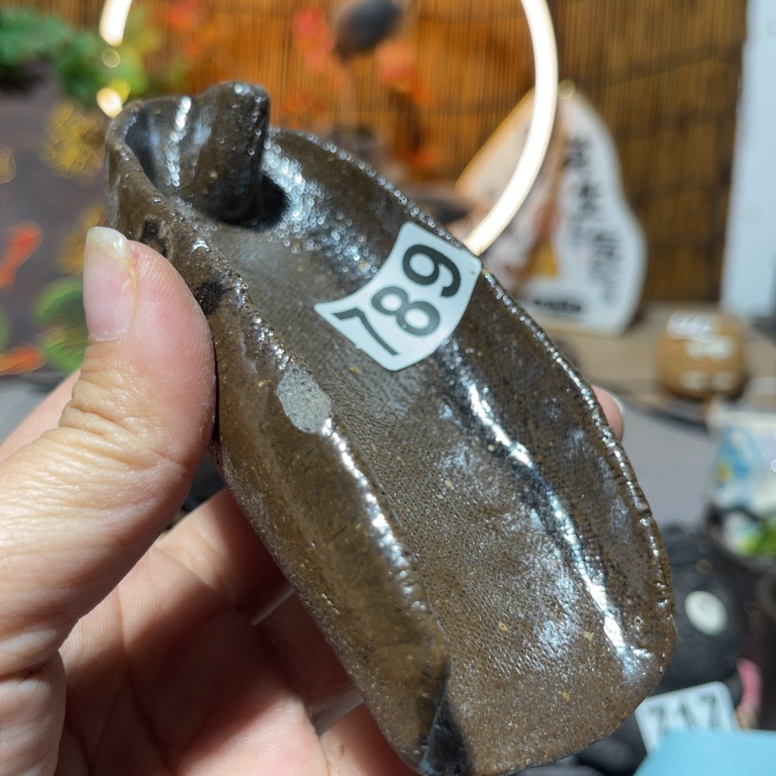 木村信弘柴烧保平