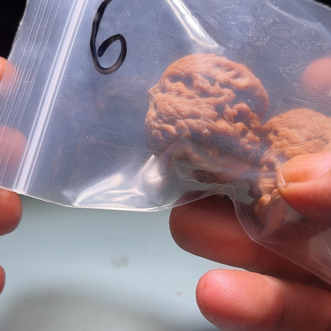 九***J吊坠文玩核桃6呃呃呃