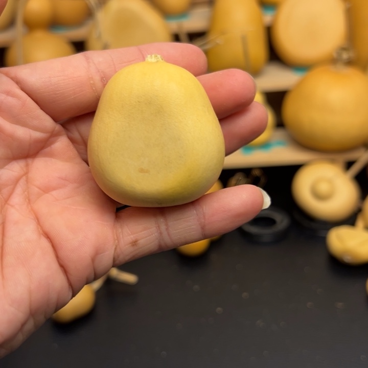 q*?了 同 6666666666666