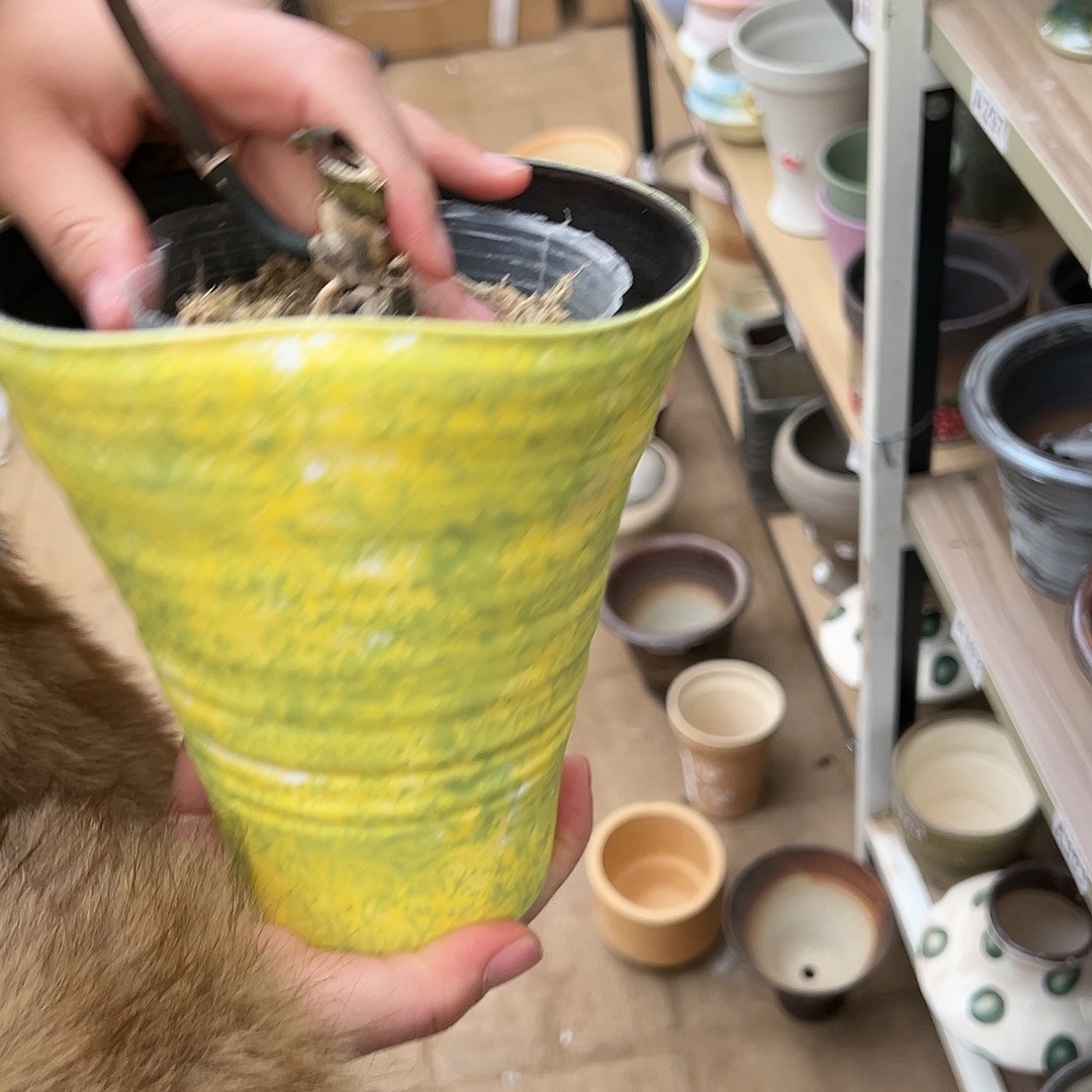 011景德镇陶瓷口12高17