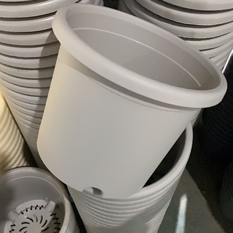 树脂四季3号微瑕灰白无托10个