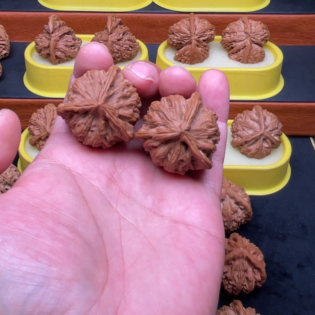 核桃手串/手链野生正奔39