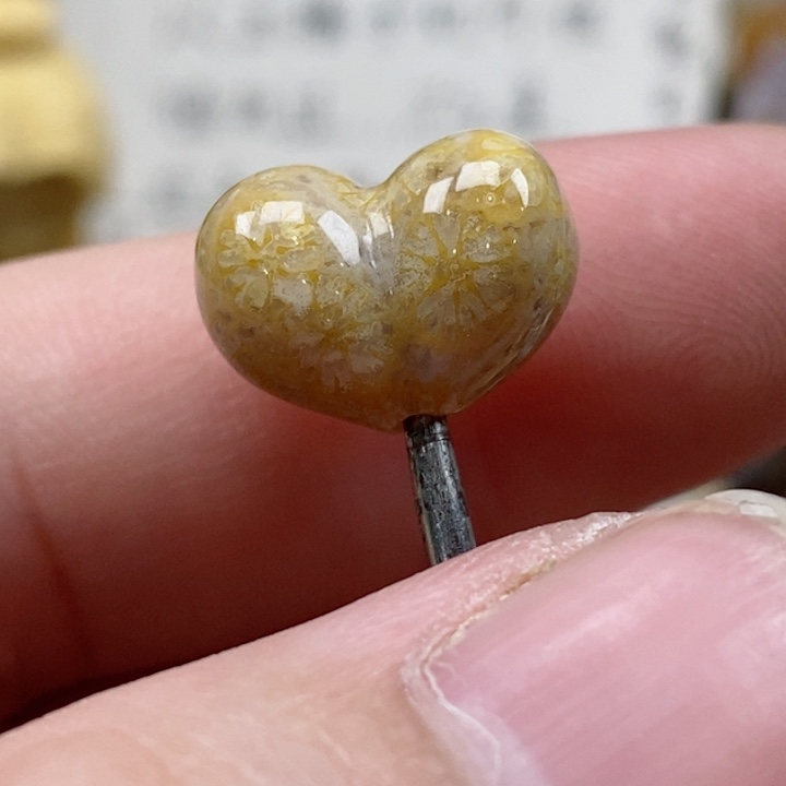 颈饰未镶嵌硅化珊瑚（珊瑚玉）小