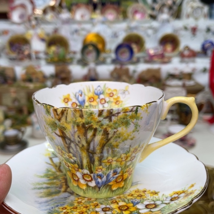 盘维多利亚欧洲中古