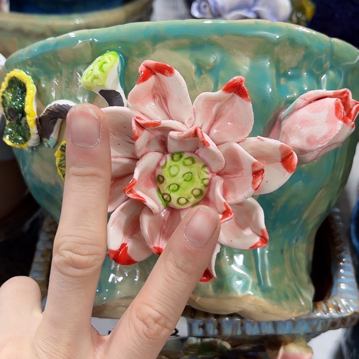 【闪购商品】红陶福利