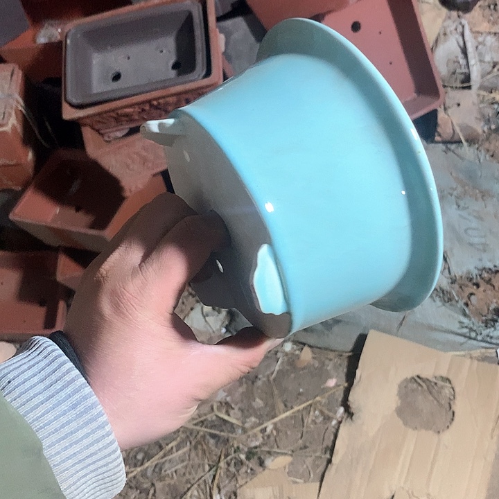 紫砂我要努力做自己喜欢