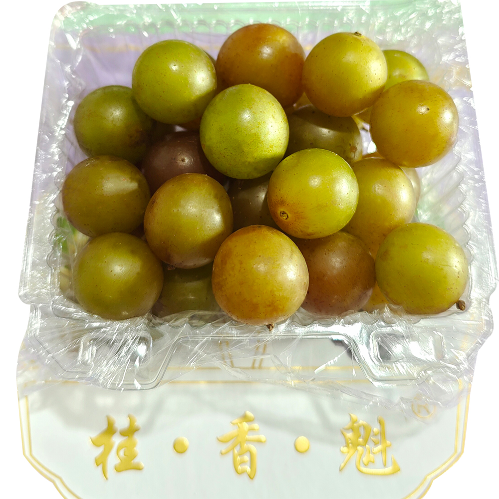 大果盒装500g[桂香魁]现摘新鲜[圆叶葡萄格威尔]