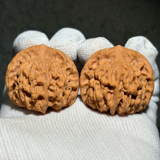 【权铭核舍】天地·一物一图·38.5-37-35·全品无修文玩核桃