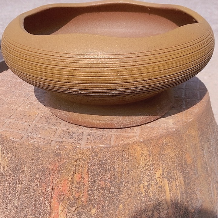 红陶高11/20微瑕开播福利