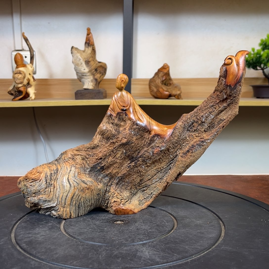 柏木（崖柏）g f h g h v n j k