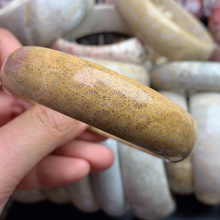 硅化珊瑚（珊瑚玉）颈饰未镶嵌柠**•