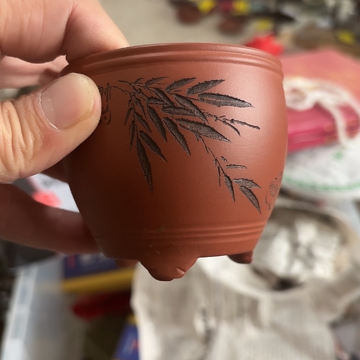 许***际杂色豆（科檀/科特迪瓦檀木）