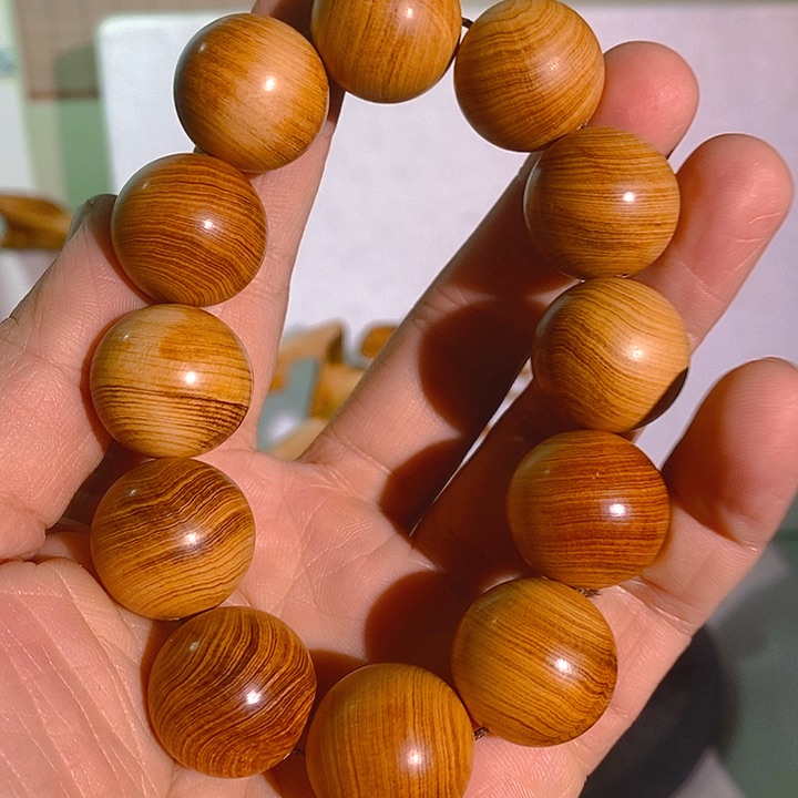 柏木（崖柏）太行大峡谷崖柏