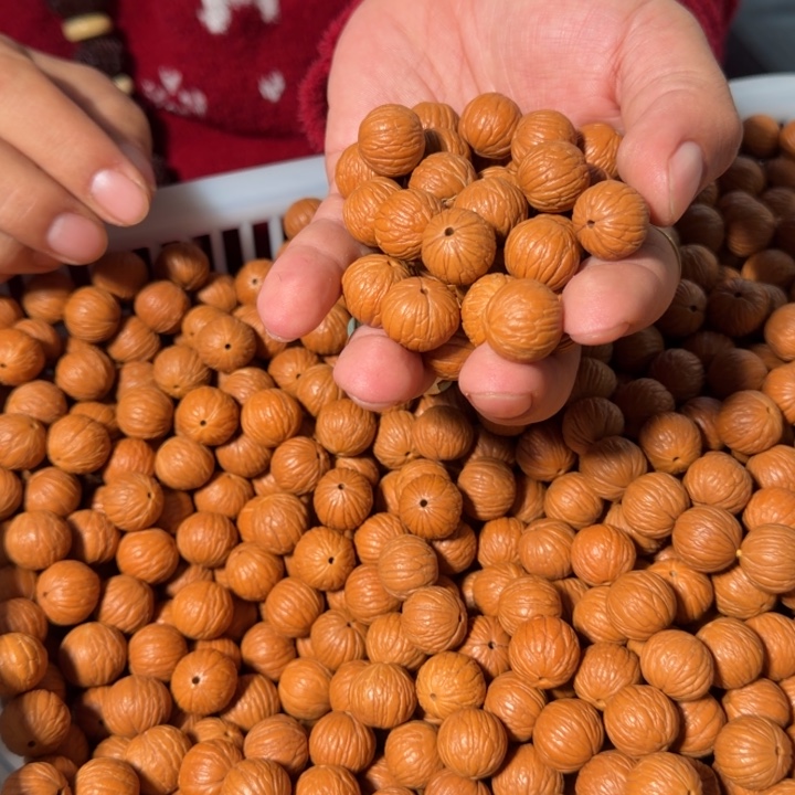 文玩核桃把件638号猴头凤羽散籽30粒