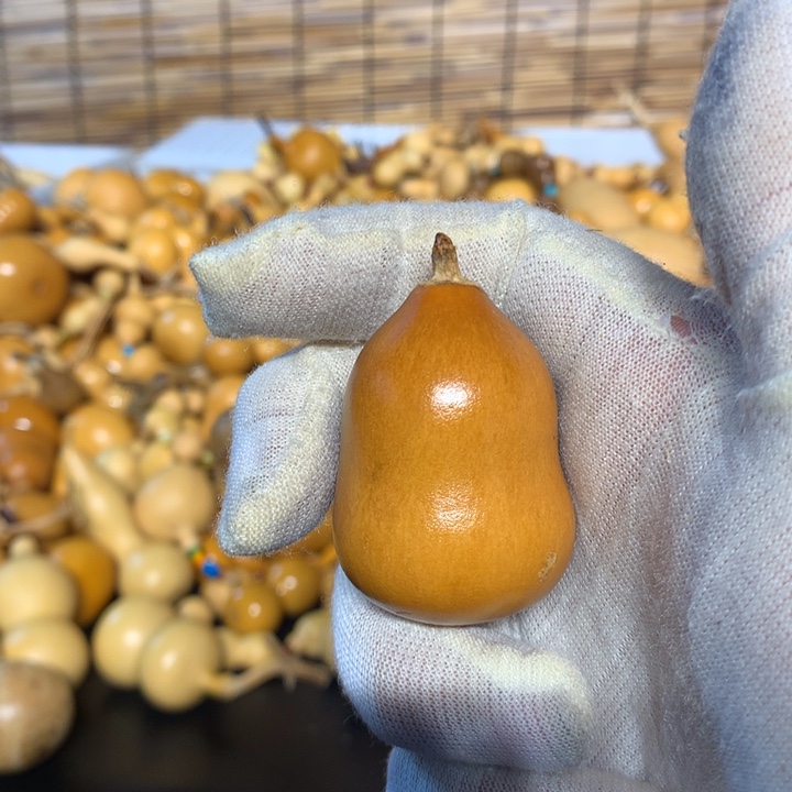 我就知道会这样啊你不相信