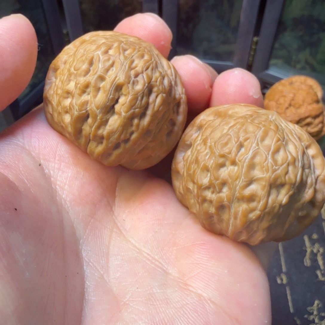 文玩核桃把件铁锤38