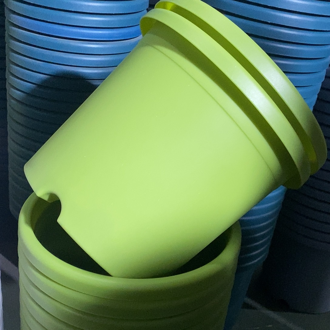 四季5#无拖果绿6