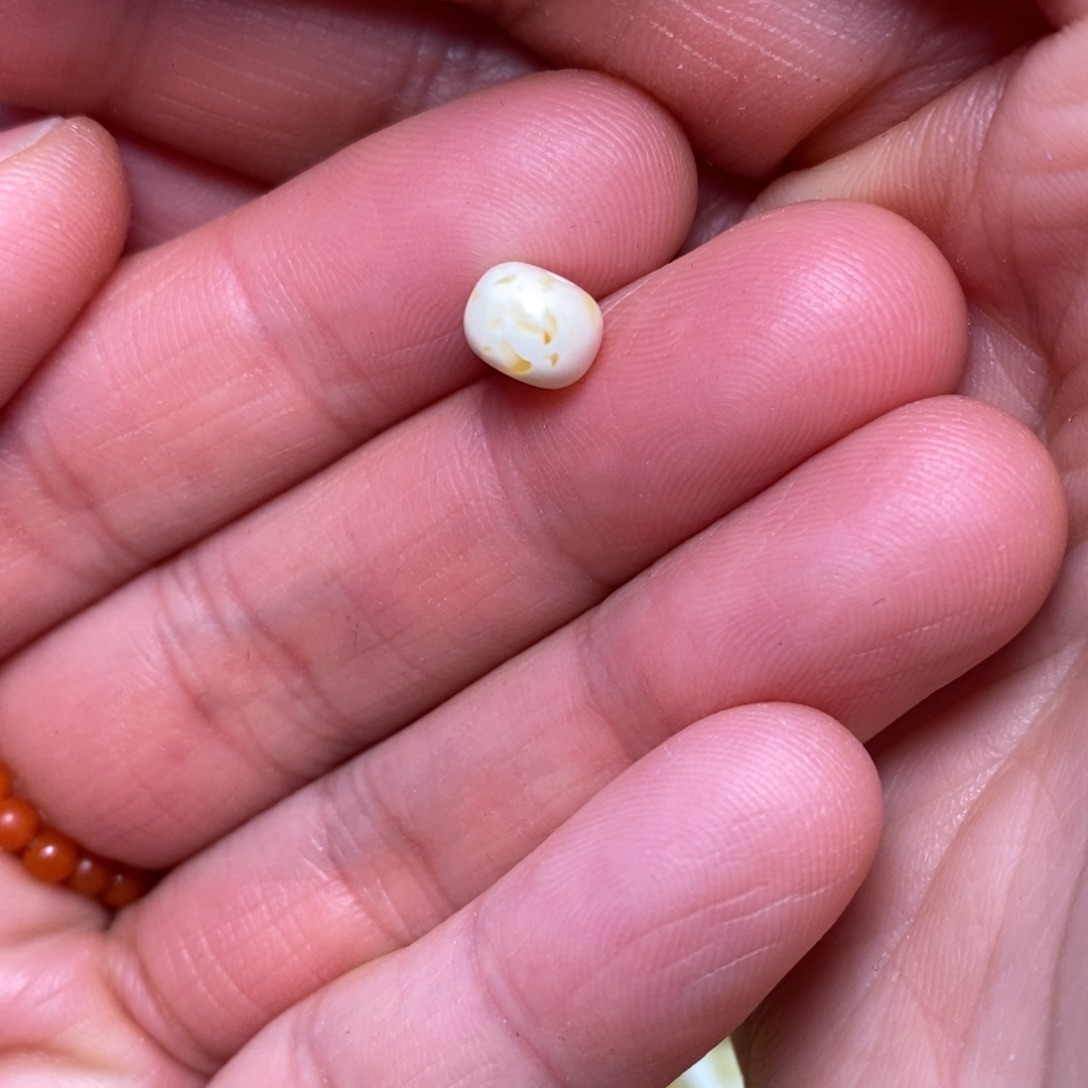 琥珀未镶嵌裸石蜜蜡配珠