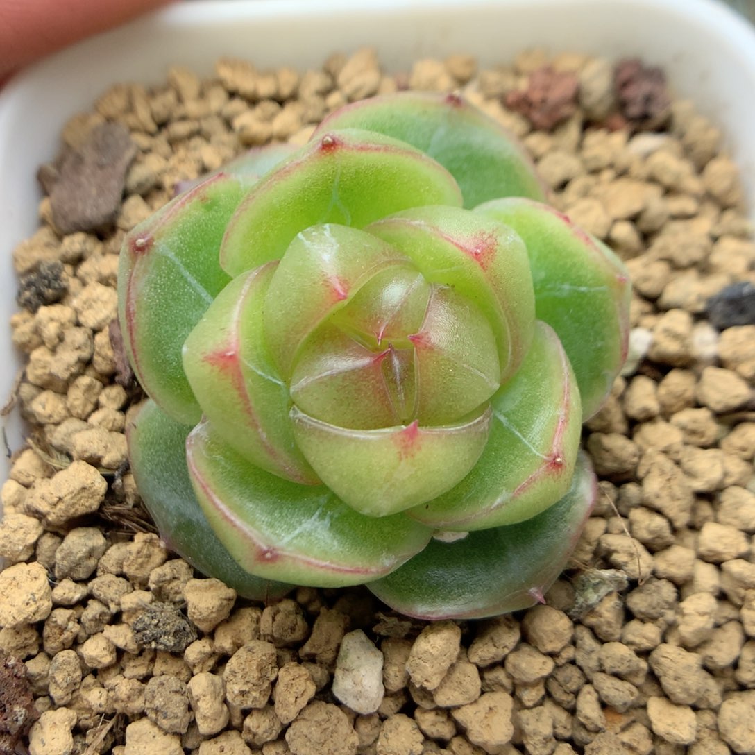 E46优选珍妮y y y y y y y y y