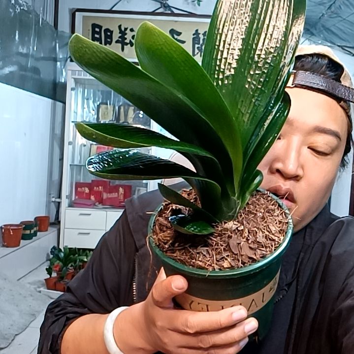 @往事并不如烟39大座王