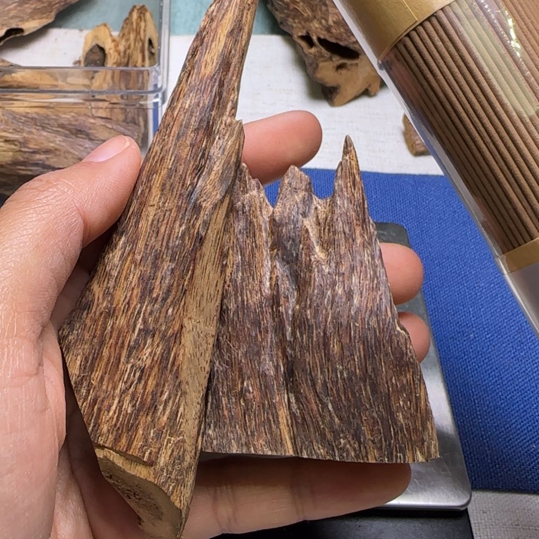 海南天然野琼海虫漏29克重福利