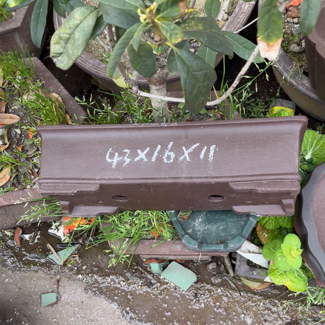 紫砂花盆盆景艺术