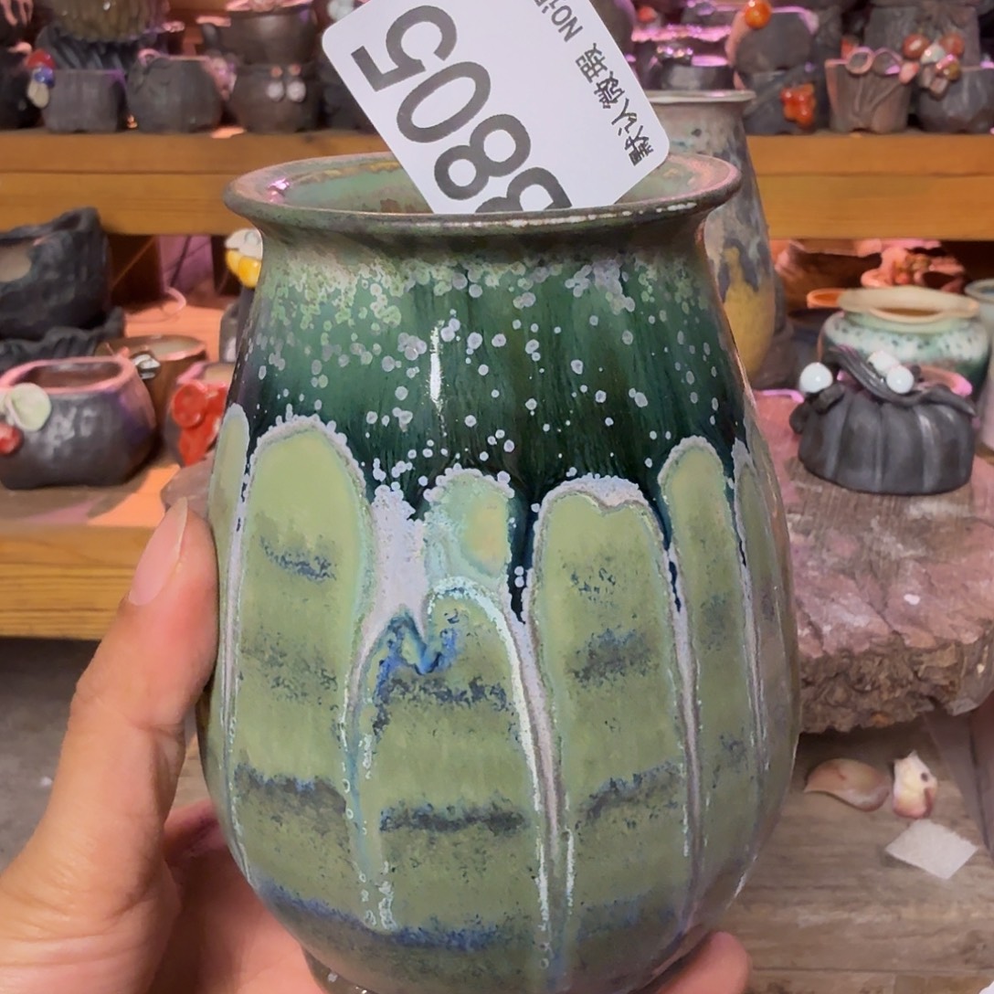 重庆小燕子欢迎大家805