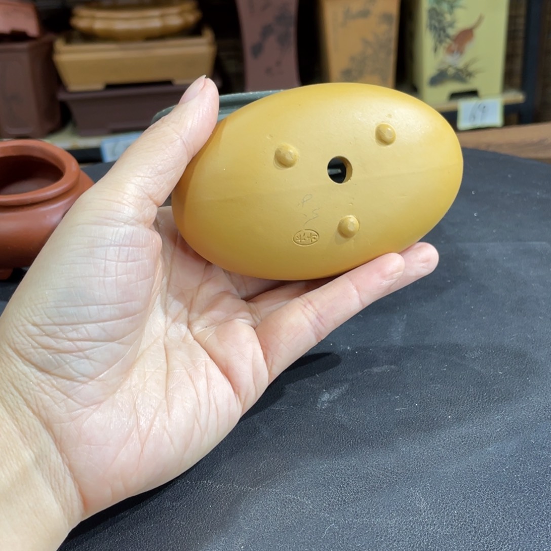 花盆紫砂紫砂和白