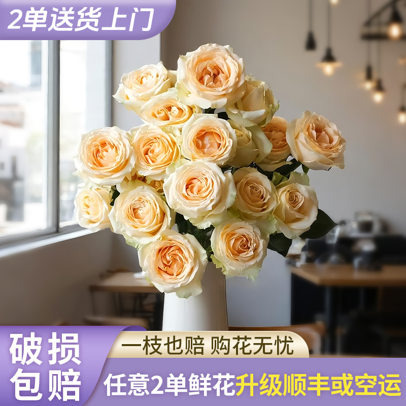 【源头优选】蜜桃雪山玫瑰-任意2单鲜花包邮 发货后不支持退款