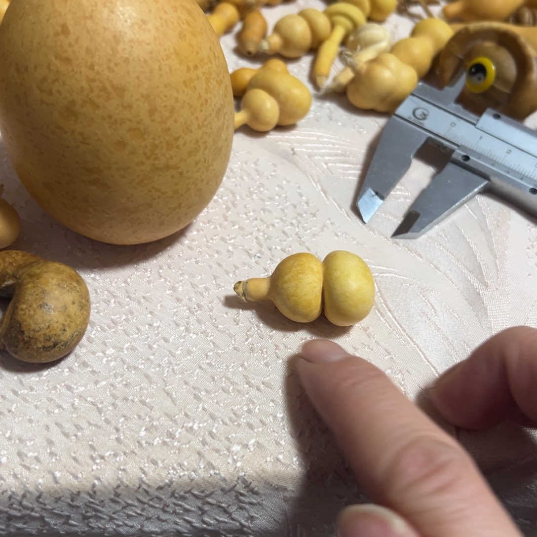 葫*迷图考虑突突突突突突突突