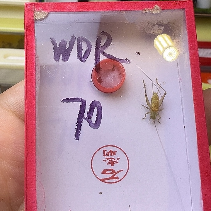 W***R哈哈哈哈哈哈哈哈哈