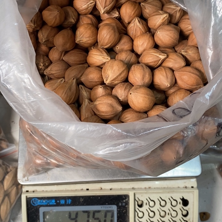 吊坠橄榄核咫****】橄榄球赛