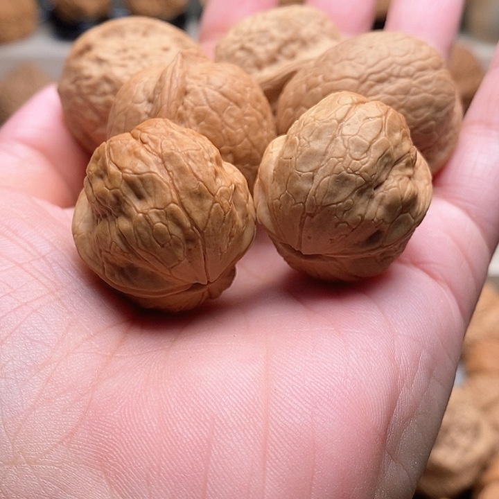 文玩核桃把件…………………………