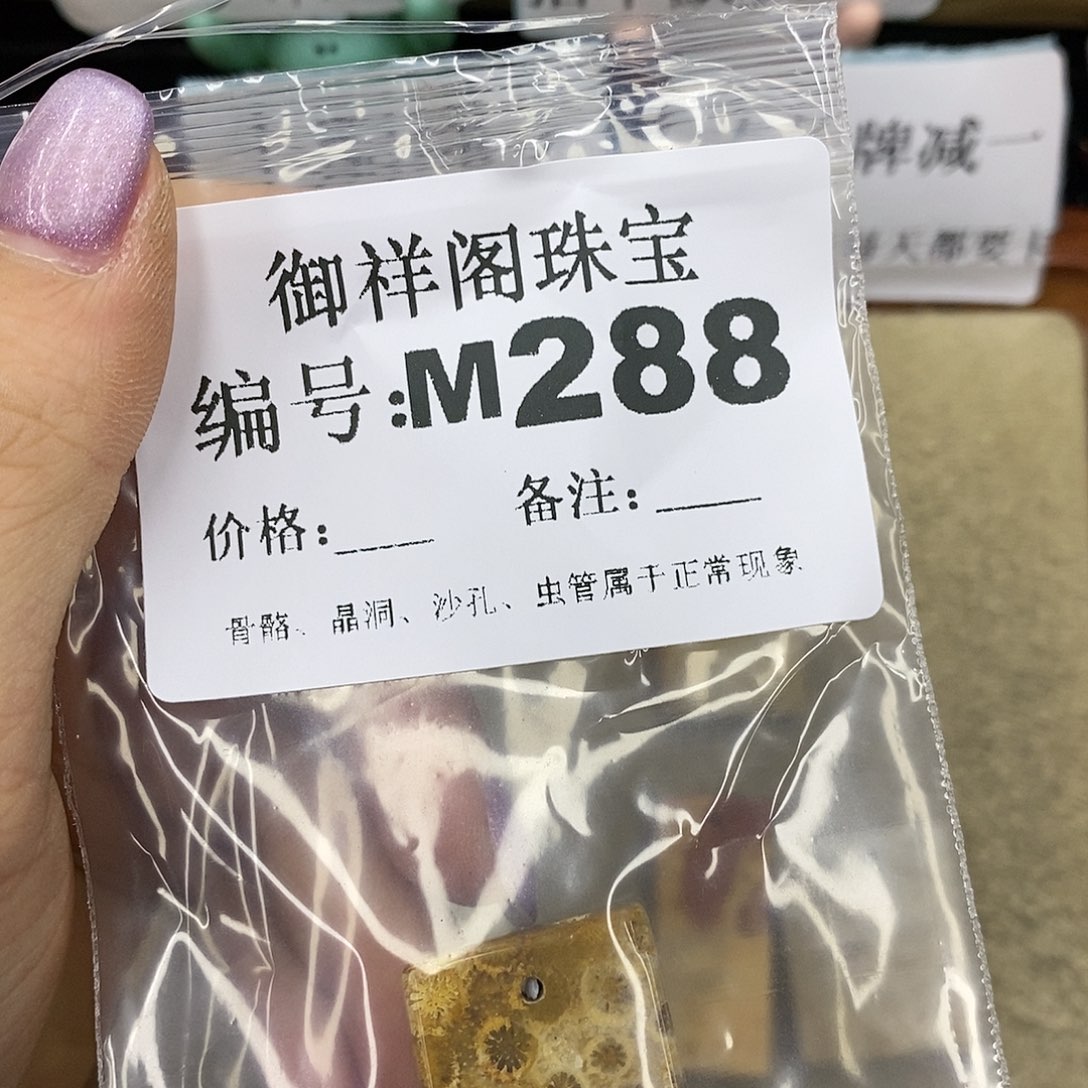 石英质玉未镶嵌颈饰H***2